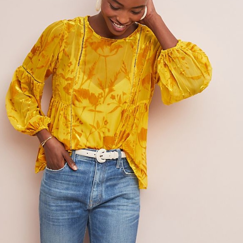 Meadow Rue Velvet Flocked Top Blouse NEW 6 S